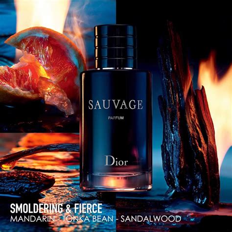 mùi sauvage dior|dior sauvage nước hoa.